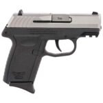 SCCY CPX-2 Gen3 9mm Luger 3.1in Stainless Steel Pistol – 10+1 Rounds