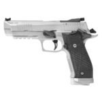 Sig Sauer P226-XFive 9mm Luger 5in Stainless Pistol – 10+1 Rounds