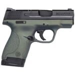 Smith & Wesson M&P 9 Shield 9mm Luger 3.1in Northern Nights Cerakote Pistol – 8+1 Rounds – California Compliant